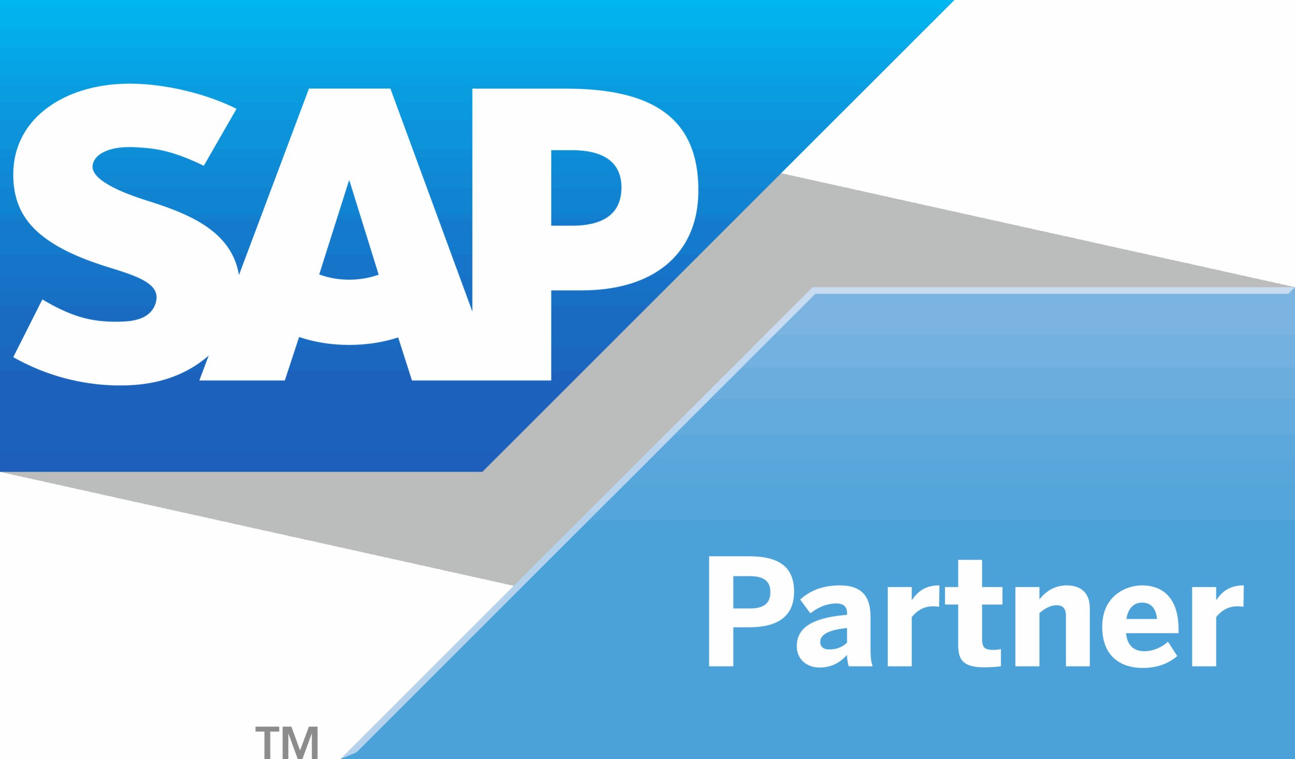 SAP Partner